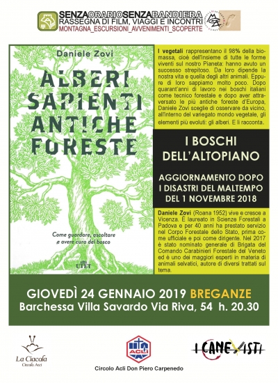 Alberi sapienti antiche foreste