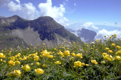 Alla scoperta del Parco delle Dolomiti bellunesi