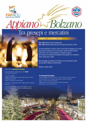 Tra presepi e mercatini ad Appiano e Bolzano